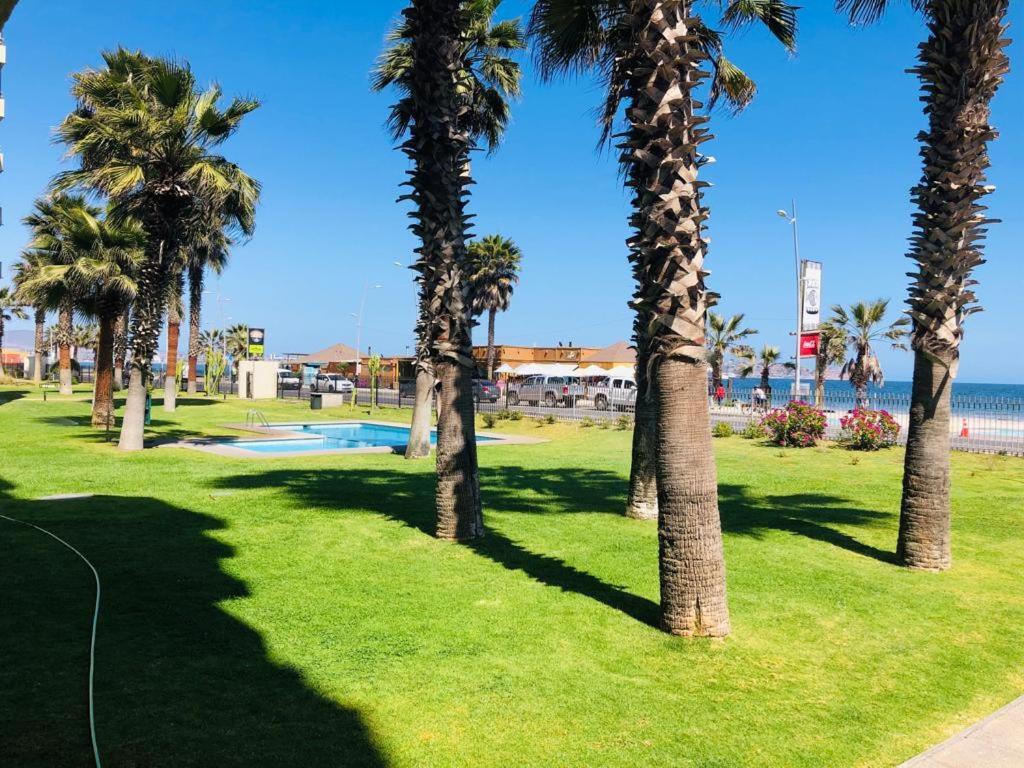 Apartamento Departamento Av. Del Mar